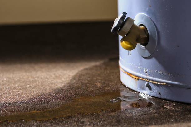 Water damage restoration mold remediation in South Barrington, IL