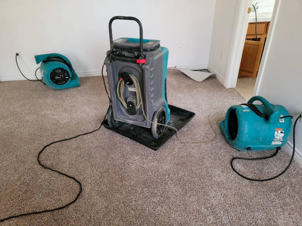 South Barrington, IL Water damage restoration Company