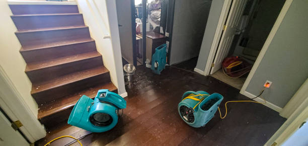 Best Water damage restoration near me  in South Barrington, IL