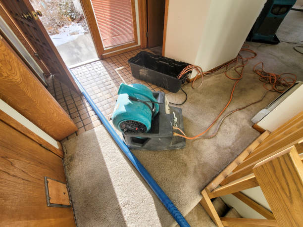 Best Mold removal after water damage  in South Barrington, IL
