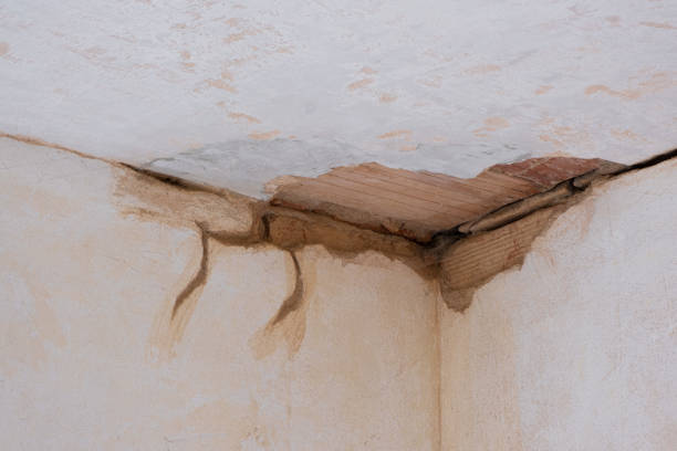 Best Basement water damage restoration  in South Barrington, IL