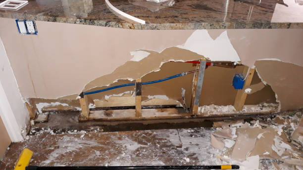 Best Water damage restoration experts  in South Barrington, IL