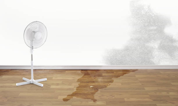 Best Residential water damage restoration  in South Barrington, IL