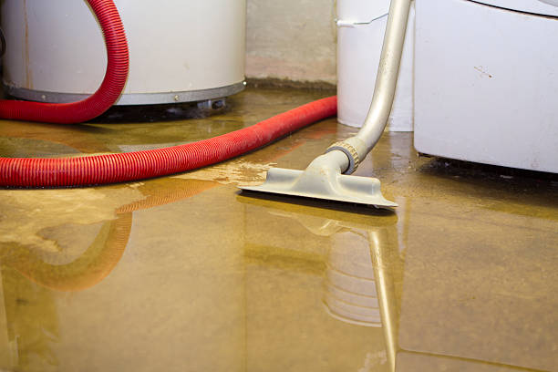 Best Water damage contractors near me  in South Barrington, IL