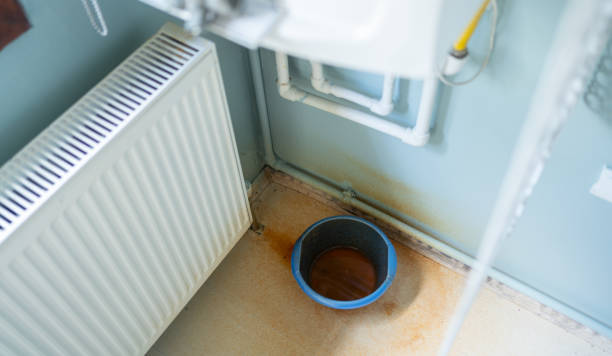 Best Carpet water damage restoration  in South Barrington, IL