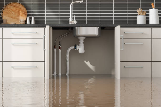 Best 24-hour water damage restoration  in South Barrington, IL