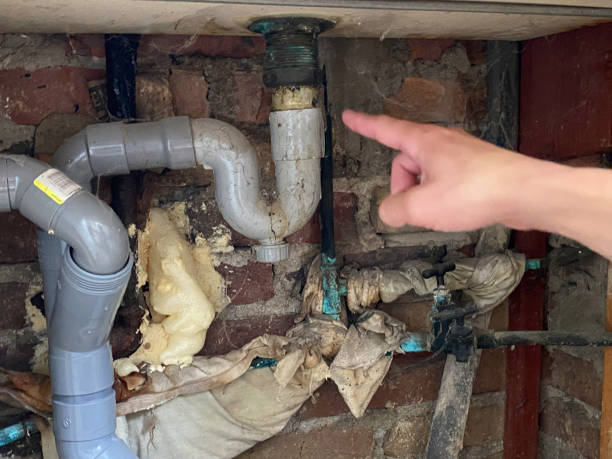 Best Carpet water damage restoration  in South Barrington, IL