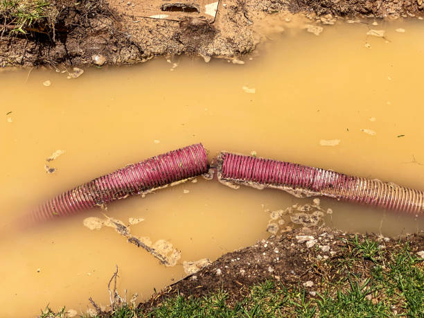 Water damage restoration experts in South Barrington, IL